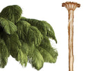 Ostrich Feather Chandeliers
