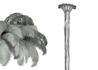 Ostrich Feather Chandeliers