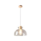 Dane Nordic Clear Glass Pendant Light
