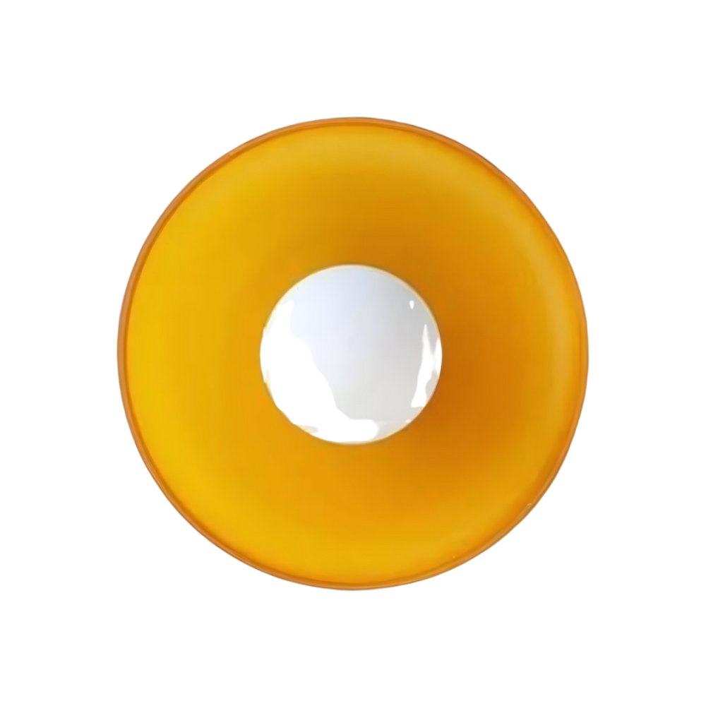 Nordic Glass Olive Disc Wall and Ceiling Light