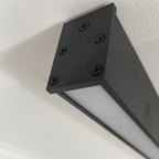 Solin Modern Linear Black Ceiling Light for Living Room