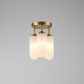 Modern Ceiling Lamp