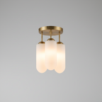 Modern Ceiling Lamp