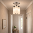 Modern Ceiling Lamp