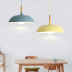 Nordic Style Wood Iron Art Pendant Light