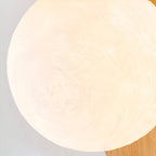 Carlyle Nordic Minimalist Iron Wood Accent LED Wall Light