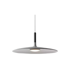 The Elegant Chandelier