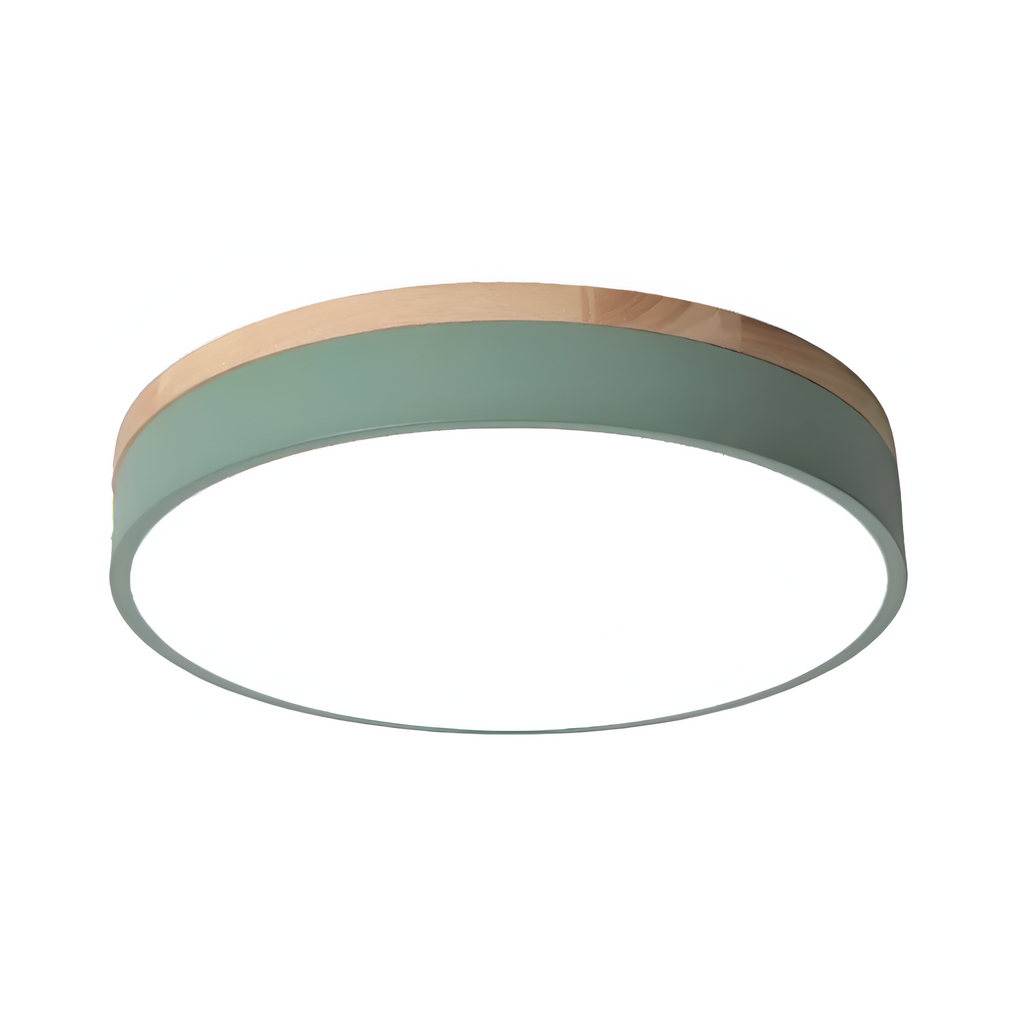 Nordic LED Round Flush Acrylic Minimalist Ceiling Light