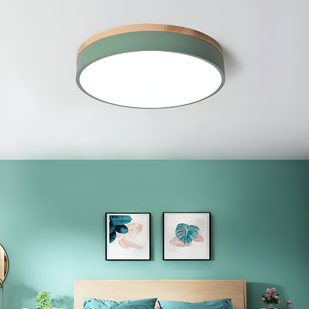 Nordic LED Round Flush Acrylic Minimalist Ceiling Light