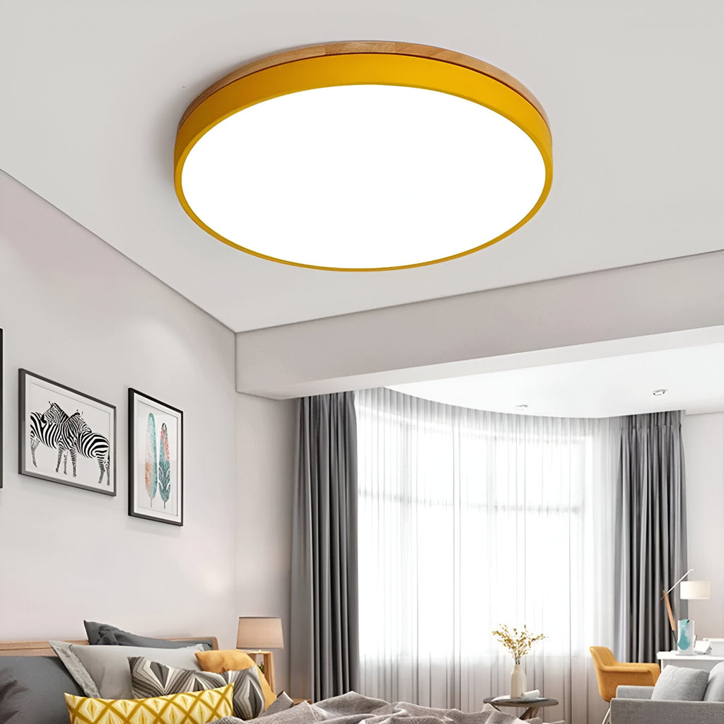 Nordic LED Round Flush Acrylic Minimalist Ceiling Light