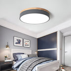 Nordic LED Round Flush Acrylic Minimalist Ceiling Light