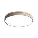 Nordic LED Round Flush Acrylic Minimalist Ceiling Light