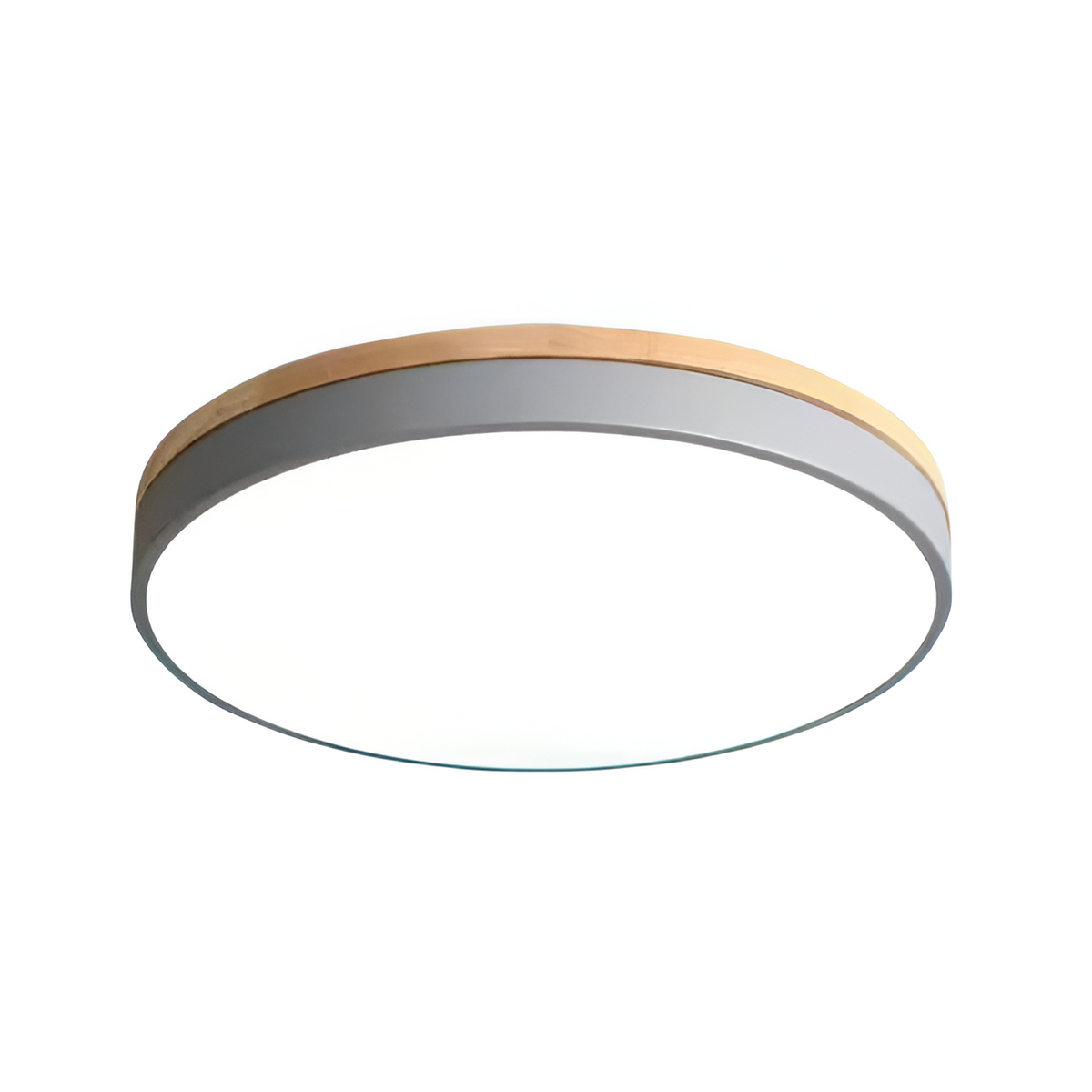 Nordic LED Round Flush Acrylic Minimalist Ceiling Light