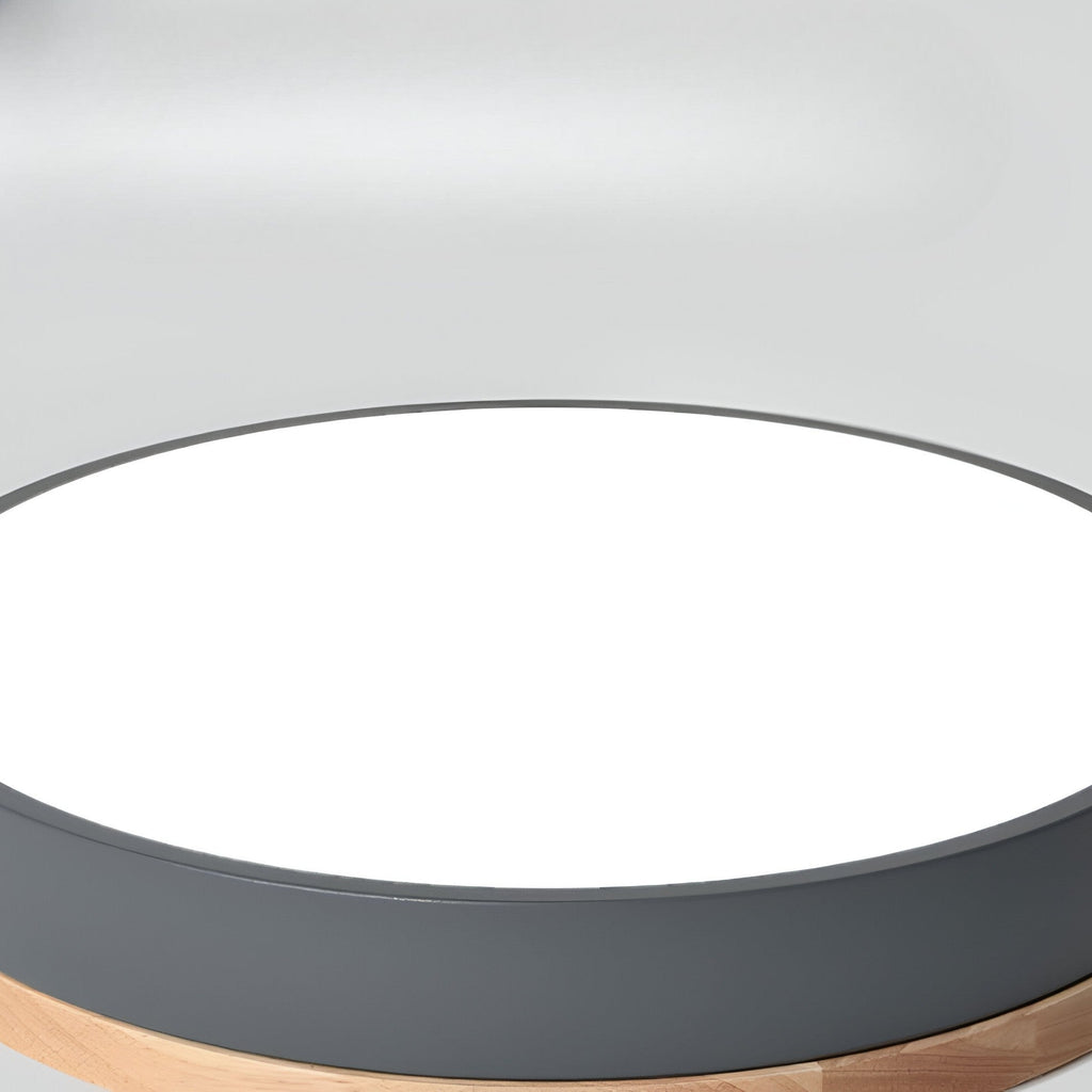 Nordic LED Round Flush Acrylic Minimalist Ceiling Light