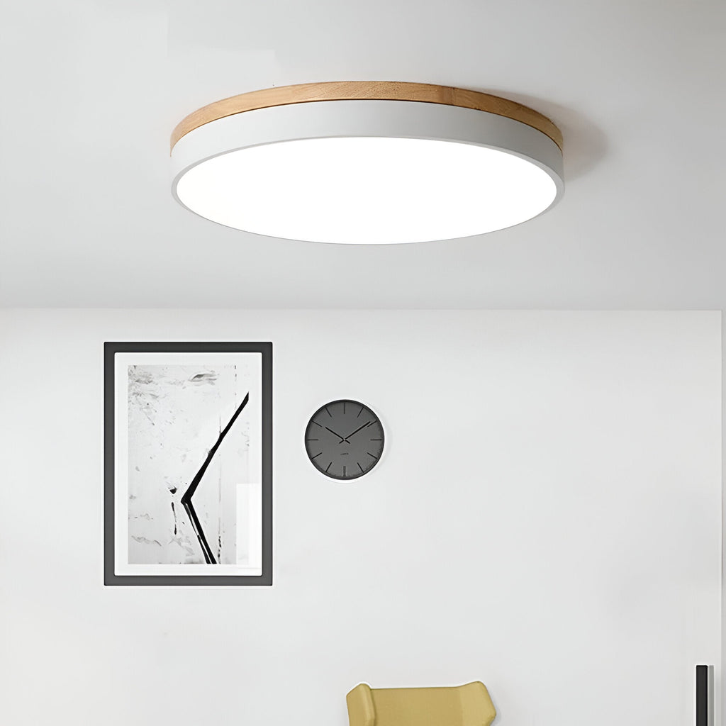 Nordic LED Round Flush Acrylic Minimalist Ceiling Light