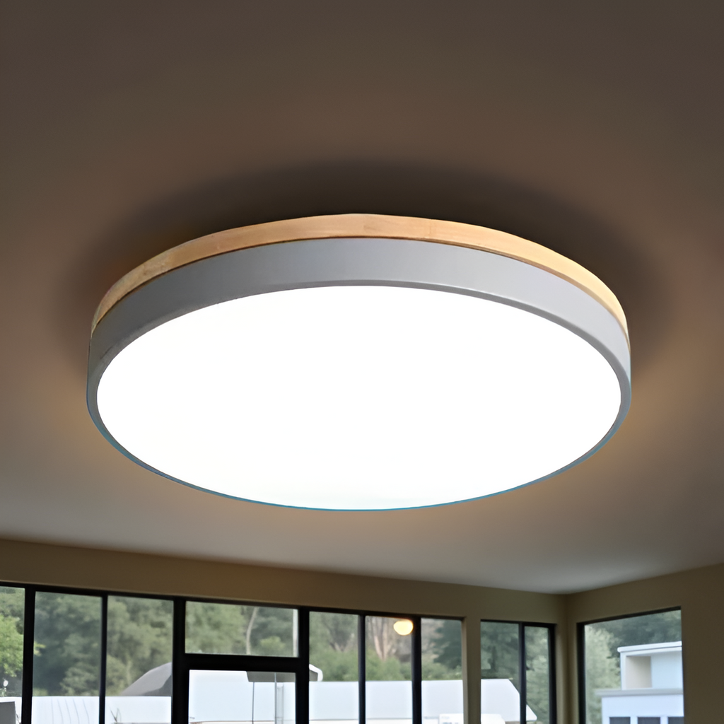 Nordic LED Round Flush Acrylic Minimalist Ceiling Light