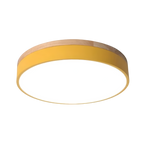Nordic LED Round Flush Acrylic Minimalist Ceiling Light