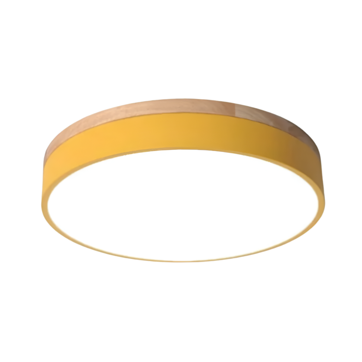 Nordic LED Round Flush Acrylic Minimalist Ceiling Light