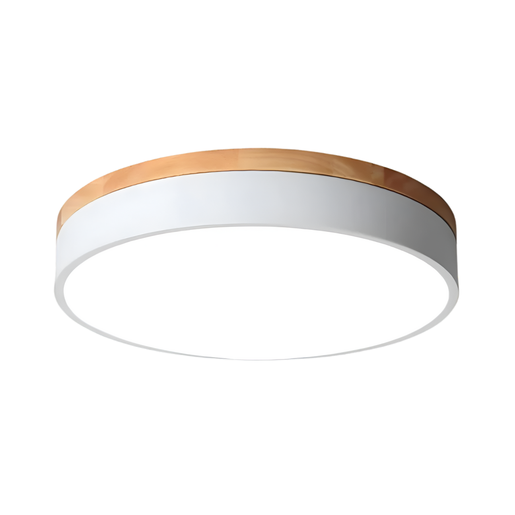 Nordic LED Round Flush Acrylic Minimalist Ceiling Light