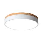Nordic LED Round Flush Acrylic Minimalist Ceiling Light