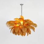 Ostrich Feather Chandeliers