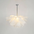 Ostrich Feather Chandeliers