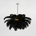 Ostrich Feather Chandeliers