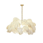 Ostrich Feather Chandeliers
