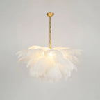 Ostrich Feather Chandeliers
