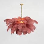 Ostrich Feather Chandeliers