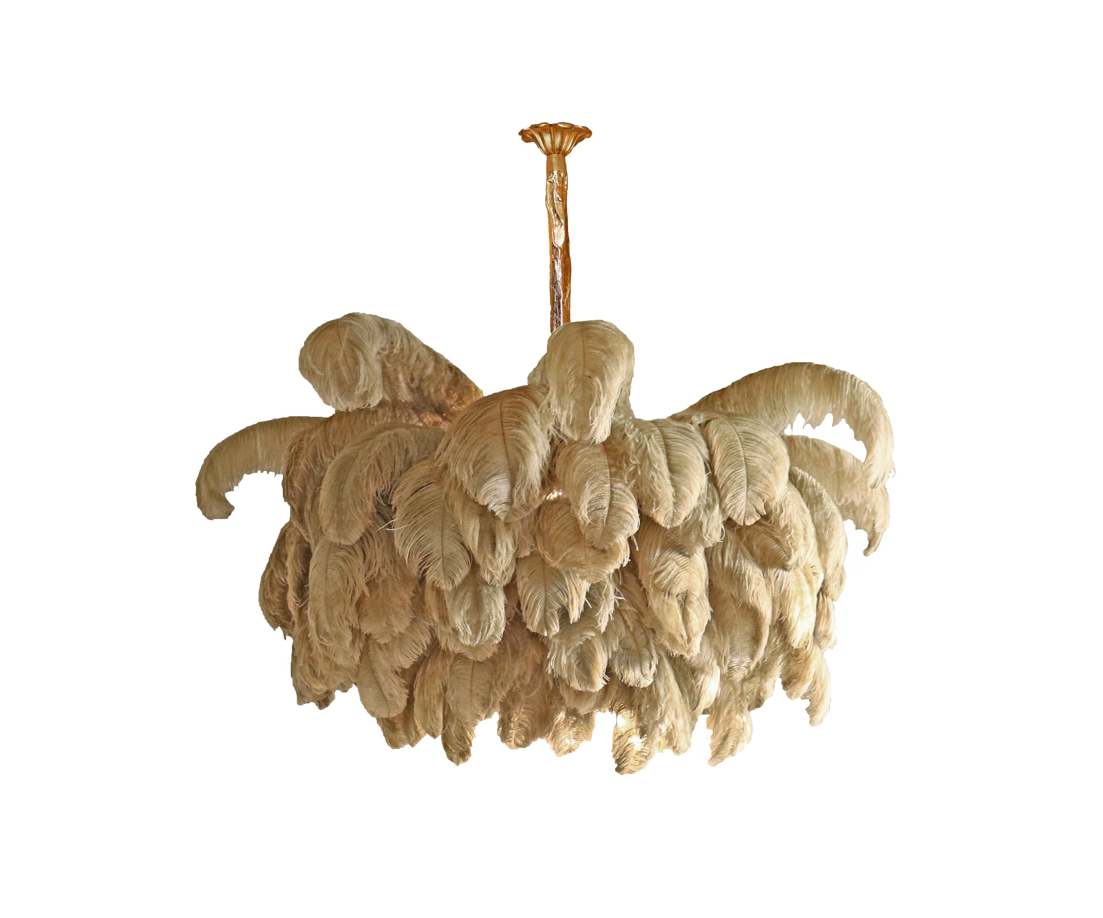 Ostrich Feather Chandeliers