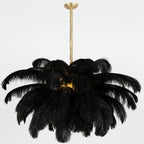 Ostrich Feather Chandeliers