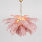Ostrich Feather Chandeliers
