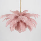 Ostrich Feather Chandeliers