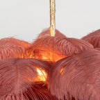 Ostrich Feather Chandeliers