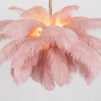 Ostrich Feather Chandeliers