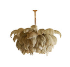 Ostrich Feather Chandeliers