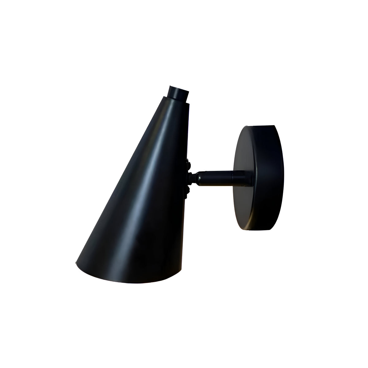 Retro Adjustable Iron Birdy Wall Light