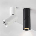 Luminexis - Adjustable LED Downlight Ceiling Spot