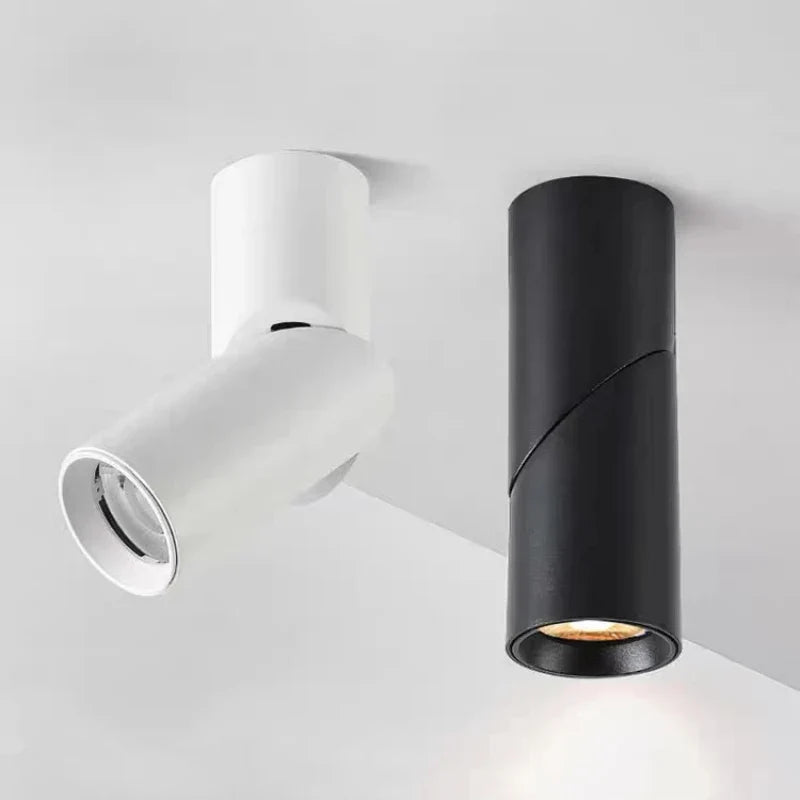 Luminexis - Adjustable LED Downlight Ceiling Spot