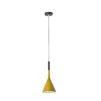 Magna Minimalist Metal Pendant Light