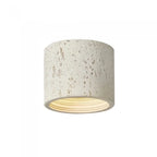 Vaelis Wabi-Sabi Cylindrical Ceiling Lamp